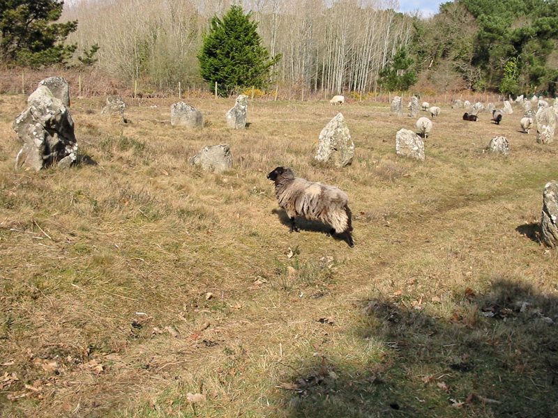 Carnac2 